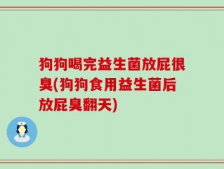 狗狗喝完益生菌放屁很臭(狗狗食用益生菌后放屁臭翻天)