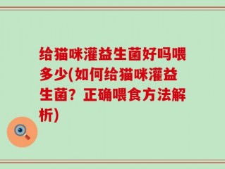 给猫咪灌益生菌好吗喂多少(如何给猫咪灌益生菌？正确喂食方法解析)