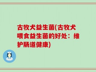 古牧犬益生菌(古牧犬喂食益生菌的好处：维护肠道健康)