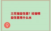 三花猫益生菌？给猫喂益生菌用什么水