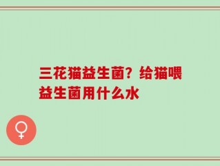 三花猫益生菌？给猫喂益生菌用什么水