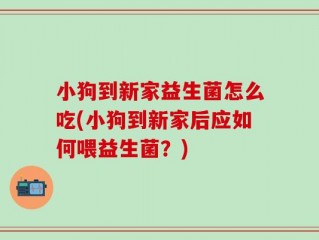 小狗到新家益生菌怎么吃(小狗到新家后应如何喂益生菌？)