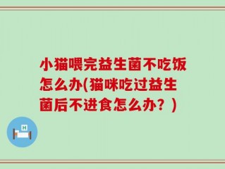 小猫喂完益生菌不吃饭怎么办(猫咪吃过益生菌后不进食怎么办？)
