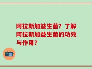 阿拉斯加益生菌？了解阿拉斯加益生菌的功效与作用？