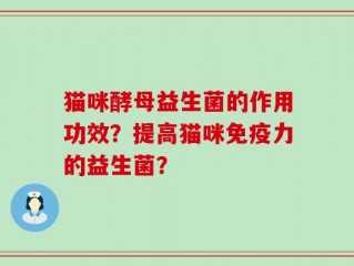 猫咪酵母益生菌的作用功效？提高猫咪免疫力的益生菌？