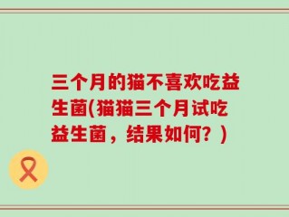 三个月的猫不喜欢吃益生菌(猫猫三个月试吃益生菌，结果如何？)