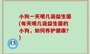 小狗一天喂几袋益生菌(每天喂几袋益生菌的小狗，如何养护健康？)