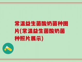常温益生菌酸奶菌种图片(常温益生菌酸奶菌种照片展示)