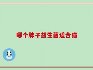 哪个牌子益生菌适合猫