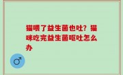猫喂了益生菌也吐？猫咪吃完益生菌呕吐怎么办