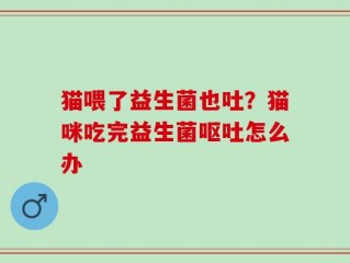 猫喂了益生菌也吐？猫咪吃完益生菌呕吐怎么办
