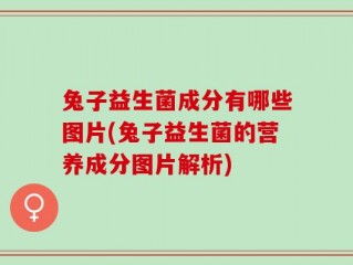 兔子益生菌成分有哪些图片(兔子益生菌的营养成分图片解析)