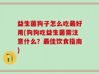 益生菌狗子怎么吃最好用(狗狗吃益生菌需注意什么？最佳饮食指南)