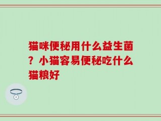 猫咪便秘用什么益生菌？小猫容易便秘吃什么猫粮好
