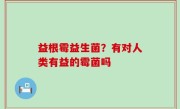 益根霉益生菌？有对人类有益的霉菌吗