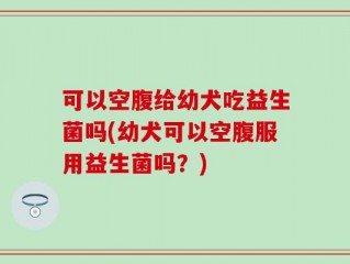 可以空腹给幼犬吃益生菌吗(幼犬可以空腹服用益生菌吗？)
