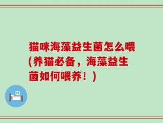 猫咪海藻益生菌怎么喂(养猫必备，海藻益生菌如何喂养！)