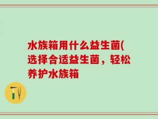 水族箱用什么益生菌(选择合适益生菌，轻松养护水族箱