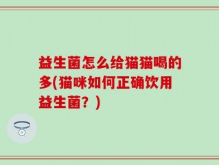 益生菌怎么给猫猫喝的多(猫咪如何正确饮用益生菌？)