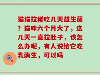 猫猫拉稀吃几天益生菌？猫咪六个月大了，这几天一直拉肚子，该怎么办呢，有人说给它吃乳酶生，可以吗