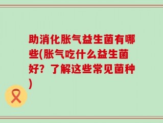 助消化胀气益生菌有哪些(胀气吃什么益生菌好？了解这些常见菌种)