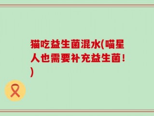 猫吃益生菌混水(喵星人也需要补充益生菌！)