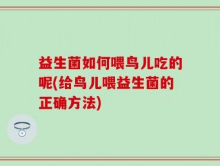 益生菌如何喂鸟儿吃的呢(给鸟儿喂益生菌的正确方法)