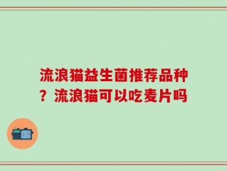 流浪猫益生菌推荐品种？流浪猫可以吃麦片吗