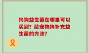 狗狗益生菌在哪里可以买到？给宠物狗补充益生菌的方法？