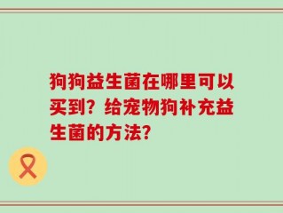 狗狗益生菌在哪里可以买到？给宠物狗补充益生菌的方法？