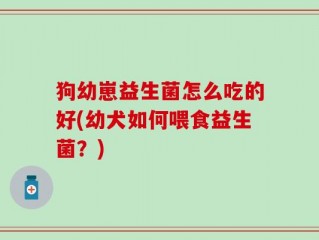 狗幼崽益生菌怎么吃的好(幼犬如何喂食益生菌？)
