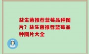 益生菌推荐蓝莓品种图片？益生菌推荐蓝莓品种图片大全