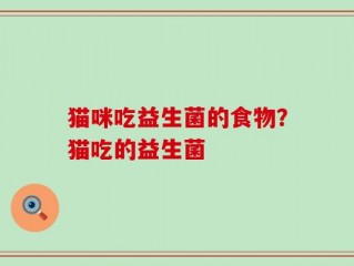 猫咪吃益生菌的食物？猫吃的益生菌