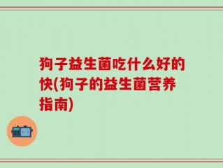 狗子益生菌吃什么好的快(狗子的益生菌营养指南)