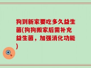 狗到新家要吃多久益生菌(狗狗搬家后需补充益生菌，加强消化功能)