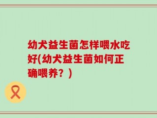 幼犬益生菌怎样喂水吃好(幼犬益生菌如何正确喂养？)