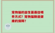宠物猫的益生菌最佳喂养方式？宠物猫肠道健康的保障？