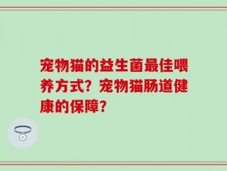 宠物猫的益生菌最佳喂养方式？宠物猫肠道健康的保障？