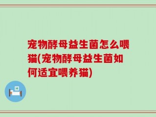 宠物酵母益生菌怎么喂猫(宠物酵母益生菌如何适宜喂养猫)