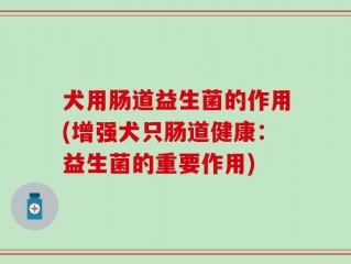 犬用肠道益生菌的作用(增强犬只肠道健康：益生菌的重要作用)