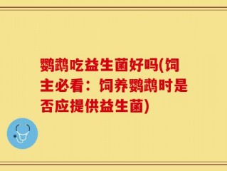 鹦鹉吃益生菌好吗(饲主必看：饲养鹦鹉时是否应提供益生菌)