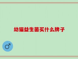 幼猫益生菌买什么牌子