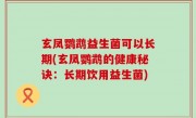 玄凤鹦鹉益生菌可以长期(玄凤鹦鹉的健康秘诀：长期饮用益生菌)