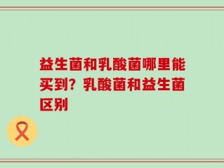 益生菌和乳酸菌哪里能买到？乳酸菌和益生菌区别
