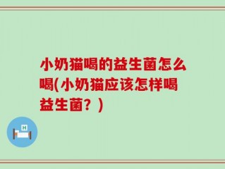 小奶猫喝的益生菌怎么喝(小奶猫应该怎样喝益生菌？)
