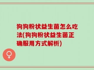 狗狗粉状益生菌怎么吃法(狗狗粉状益生菌正确服用方式解析)