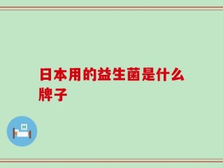 日本用的益生菌是什么牌子