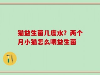 猫益生菌几度水？两个月小猫怎么喂益生菌