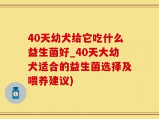 40天幼犬给它吃什么益生菌好_40天大幼犬适合的益生菌选择及喂养建议)