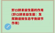 野口酵素益生菌的作用(野口酵素益生菌：发挥肠道微生态平衡调节作用)